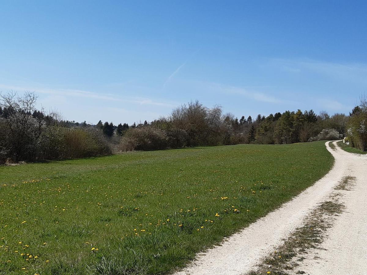Staedtle-Blick Apartment Hayingen ภายนอก รูปภาพ